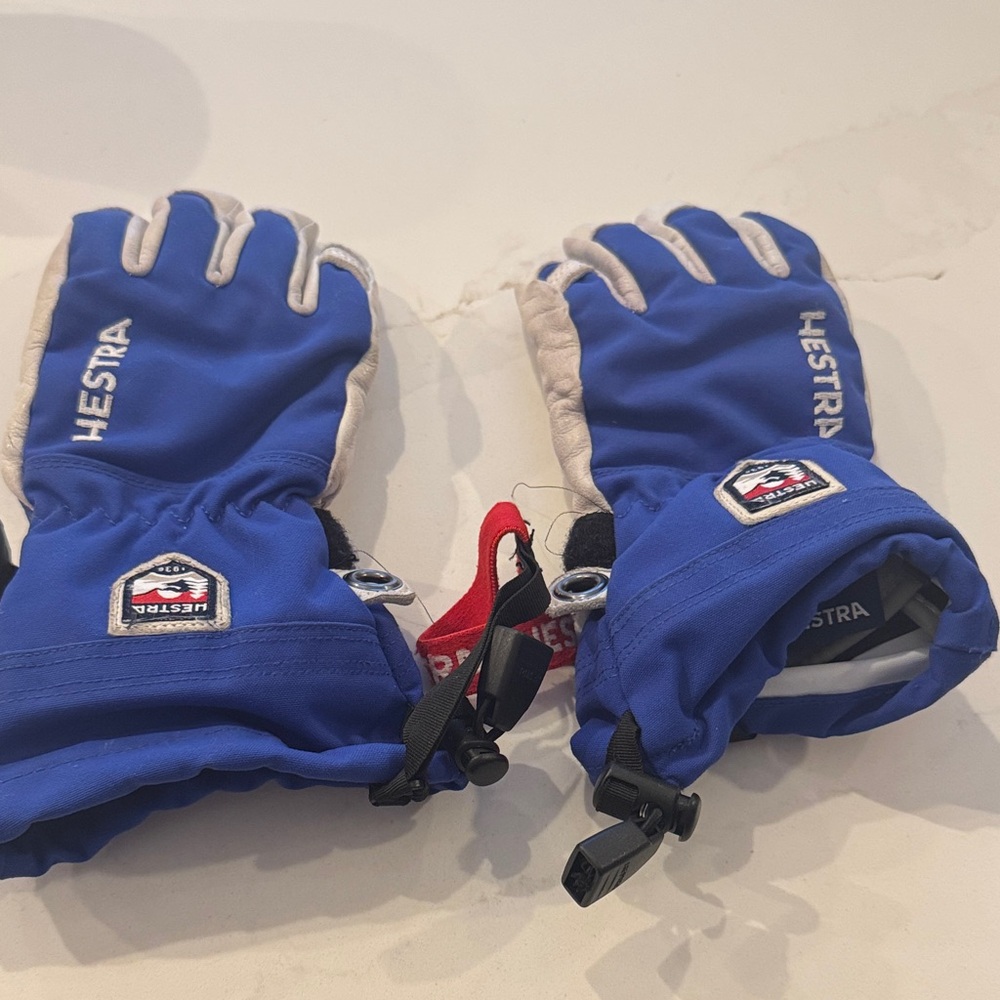 Hestra Blue and Cream Ski Gloves